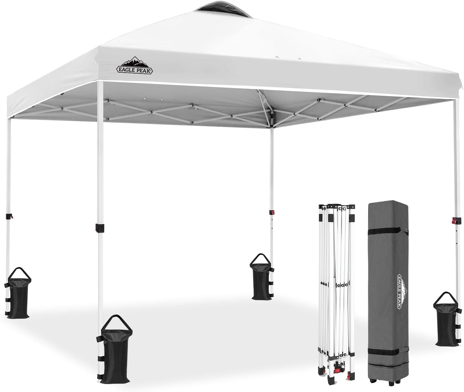 Pop Up Tent (10'x10')